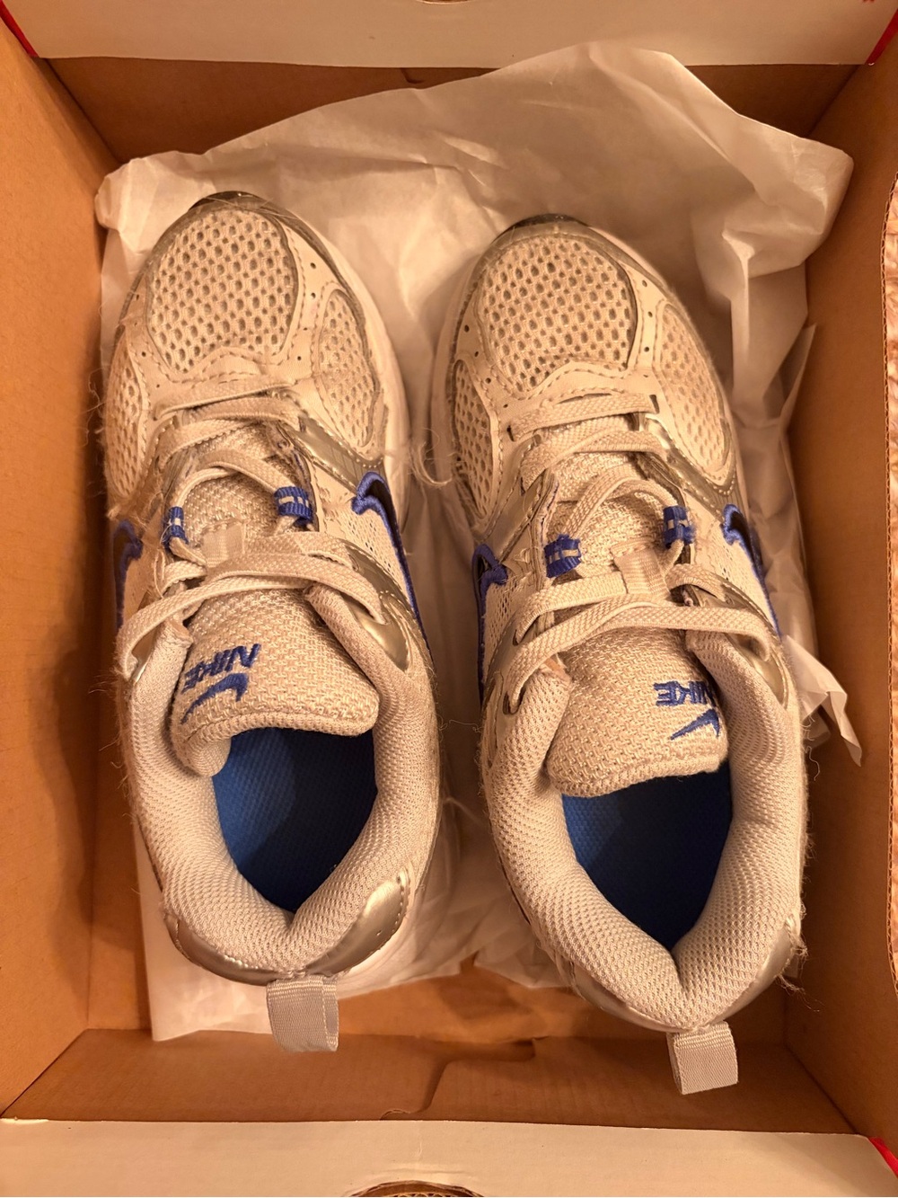 Nike Kids Silver Sneakers with Blue Accents